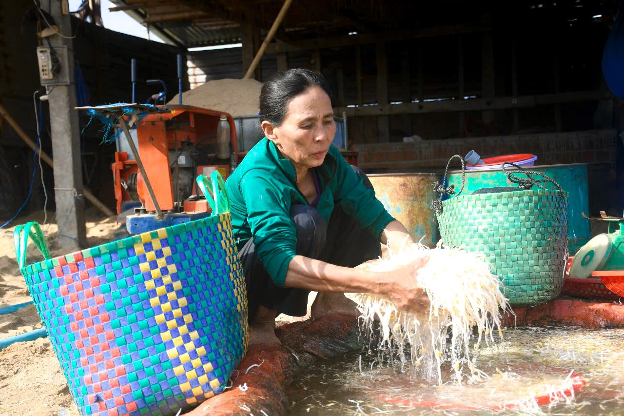 Thị trấn Tịnh Hà (huyện Sơn Tịnh, tỉnh Quảng Ngãi) là nơi có vùng làm giá nổi tiếng. Trước kia, vùng này có khoảng 100 hộ dân chuyên trồng giá bằng cát sông Trà Khúc.