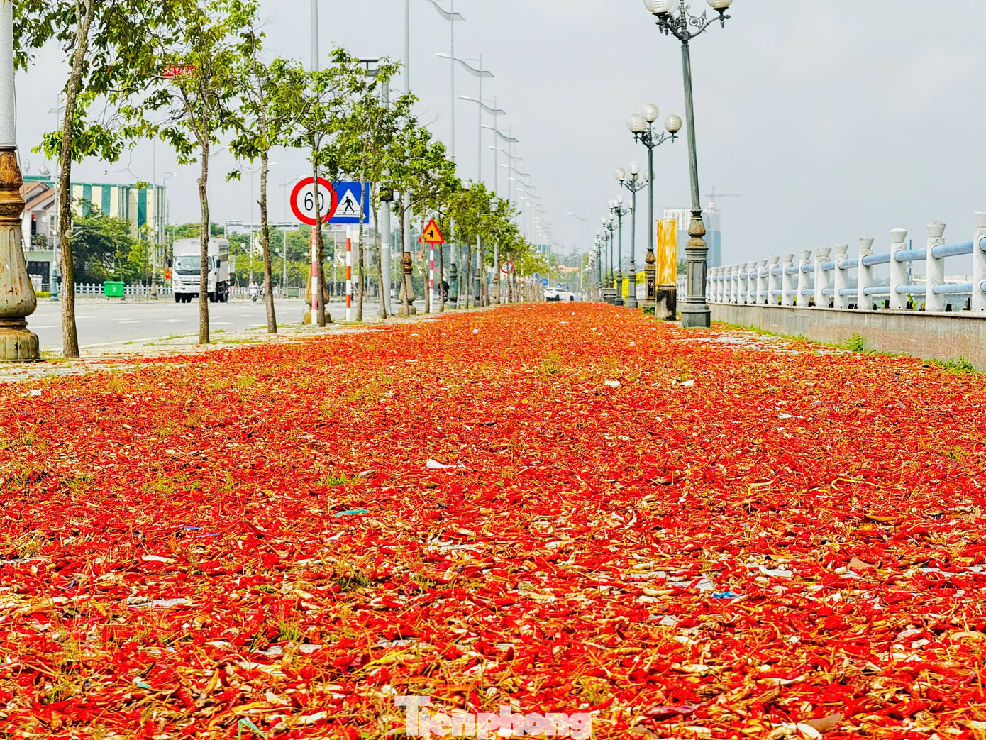 Theo các thương lái, nguyên nhân giá ớt tăng cao là do nhu cầu tiêu thụ mạnh từ thị trường Trung Quốc. Tuy nhiên, trong khoảng 20 ngày tới, khi vụ thu hoạch rộ đến, giá ớt có thể sẽ giảm. Ảnh: Nguyễn Ngọc.