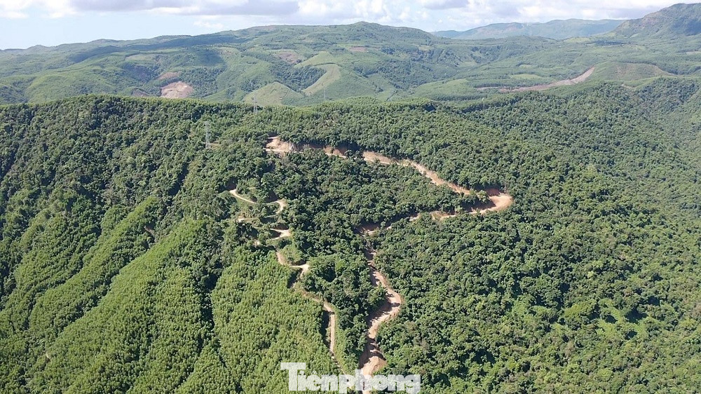 Chủ tịch UBND tỉnh Quảng Ngãi yêu cầu báo cáo vụ phá rừng tự nhiên mở đường.