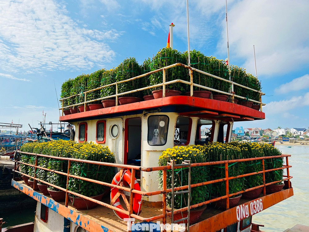 Theo ghi nhận của PV, hiện nay, các chủ tàu vận tải và người dân tập trung vận chuyển hàng hóa ra đảo trong thời tiết biển êm gió lặng. Hàng hóa tương đối phong phú và đa dạng để phục vụ nhu cầu đón Tết của người dân Lý Sơn.