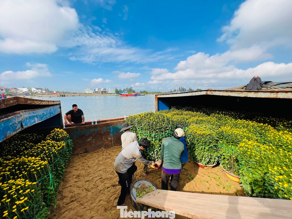 Ông Nguyễn Tấn Vũ - công nhân bốc vác tại cảng cho hay, những ngày này, thời tiết nắng ấm, tàu thuyền hoạt động trở lại, nên các tàu vận tải hàng hóa và hành khách đều tranh thủ chở khách, chuyển hàng hóa và hoa ra đảo vì dự báo trong vài ngày tới khả năng thời tiết xấu trở lại, biển động không thể ra vào đảo được.