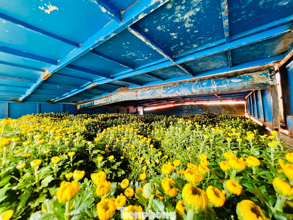 Theo Đài khí tượng thủy văn tỉnh Quảng Ngãi, thời tiết trên biển hiện khả quan để vận tải hàng hóa, hành khách ra đảo nhưng biển sẽ động trở lại và nhiều khả năng đảo Lý Sơn sẽ bị cô lập trong vài ngày tới. Chính quyền địa phương đề nghị các đơn vị vận tải hàng hóa tăng chuyến để tiếp tục đưa hàng hoá ra đảo, đảm bảo đủ nguồn hàng trước khi thời tiết chuyển biến xấu trở lại.