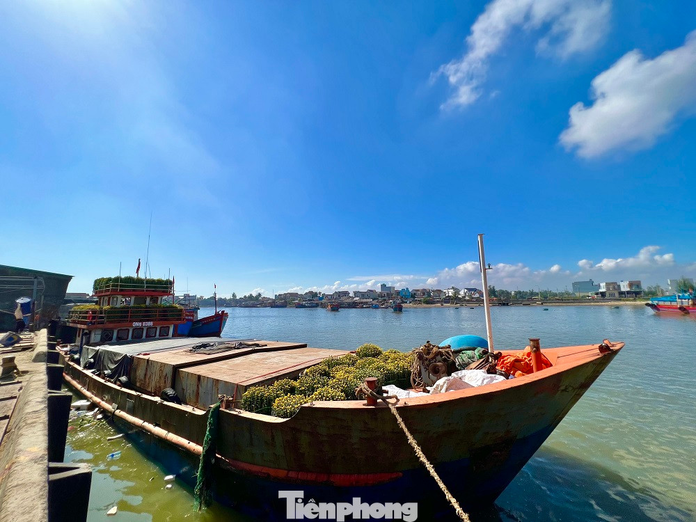 Theo ghi nhận của PV, hiện nay, các chủ tàu vận tải và người dân tập trung vận chuyển hàng hóa ra đảo trong thời tiết biển êm gió lặng. Hàng hóa tương đối phong phú và đa dạng để phục vụ nhu cầu đón Tết của người dân Lý Sơn.