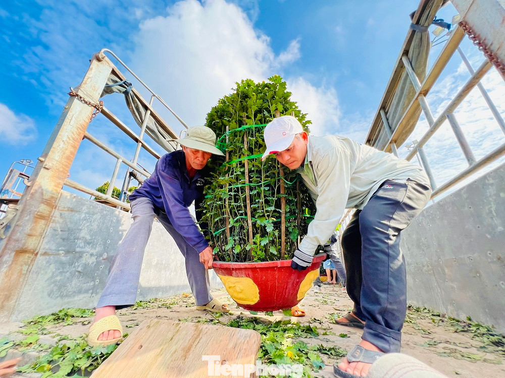 Tranh thủ thời tiết hửng nắng, trong ba ngày 11-12 và 13/1, các tàu vận tải hàng hóa trên tuyến Sa Kỳ - Lý Sơn hoạt động hết công suất với 200 tấn hàng mỗi ngày để “chở Tết” ra đảo Lý Sơn phục vụ và đáp ứng đủ nhu cầu của hơn 22.000 dân trên đảo.