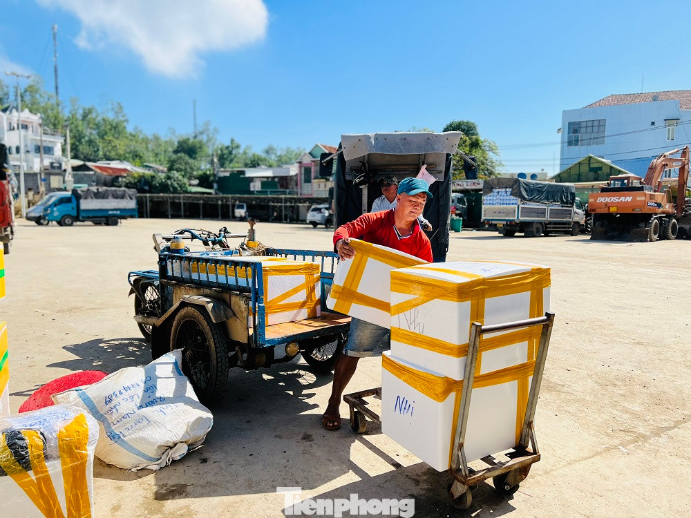 Trao đổi với PV, ông Tạ Công Chức - Phó Giám đốc Ban Quản lý cảng Sa Kỳ cho biết, qua cuộc họp cùng Cảng vụ Hàng hải, Ban Quản lý cảng, các cơ quan chức năng, doanh nghiệp thống nhất chạy tàu từ ngày 11/1 đến tết, mỗi ngày chạy 4 chuyến tàu khách. Đối với tàu vận tải hàng hóa hàng hằng ngày sẽ có 3 chuyến từ đất liền ra đảo Lý Sơn, trung bình mỗi chuyến tàu chở được 150-200 tấn, chủ yếu là vận chuyển nhu yếu phẩm như rau, trái cây, củ, quả và hoa Tết.