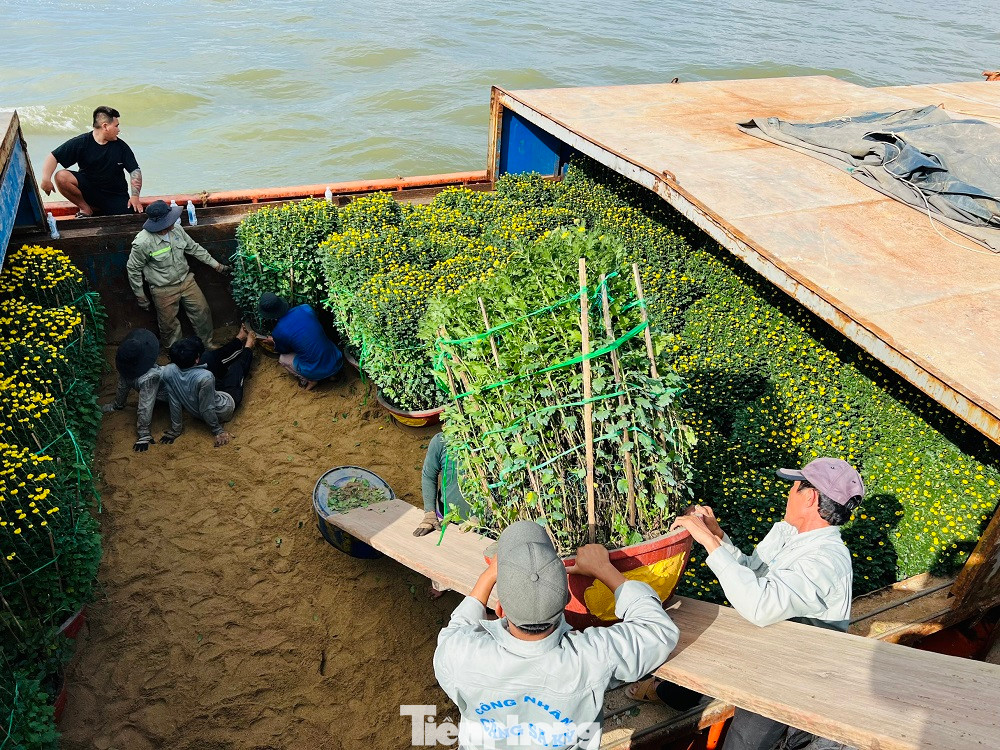 Tại đầu cảng Sa Kỳ, nhiều đội bốc vác hàng hóa phải làm việc hết công suất để đưa hàng lên các tàu hậu cần. Các tàu hàng hoạt động liên tục từ sáng sớm cho đến chiều để đưa toàn bộ hàng hóa ra đảo.