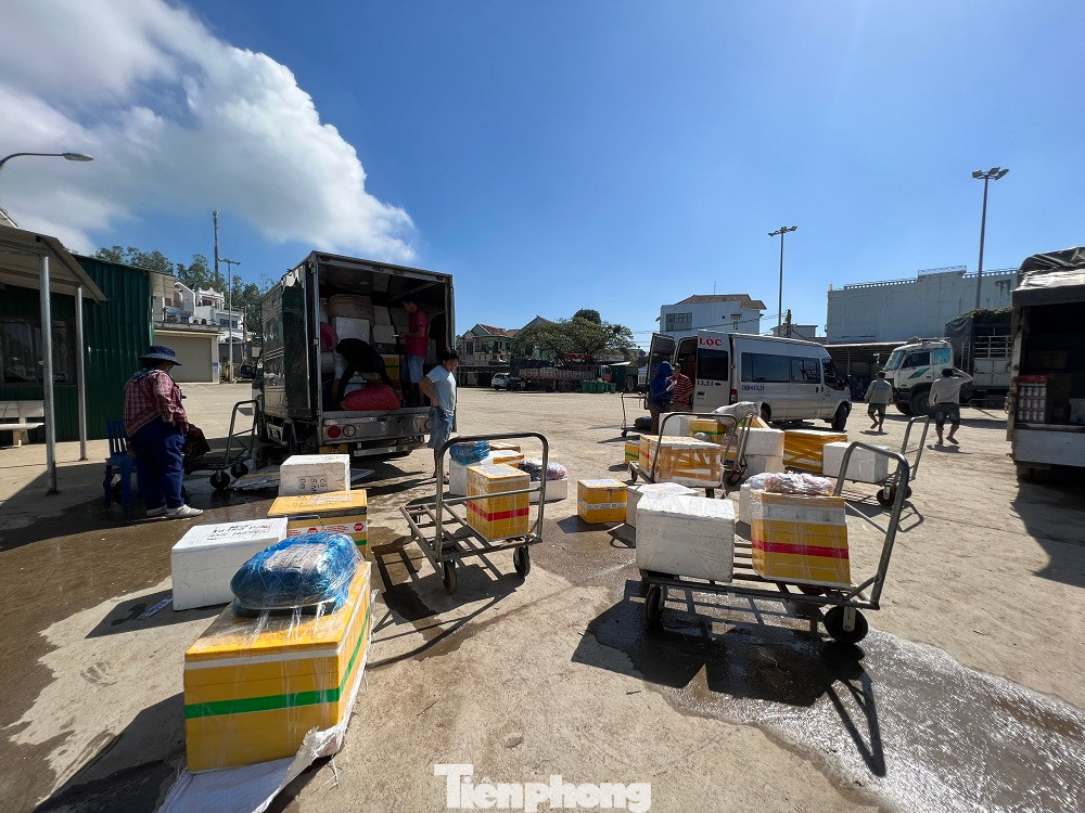 Trao đổi với PV, ông Tạ Công Chức - Phó Giám đốc Ban Quản lý cảng Sa Kỳ cho biết, qua cuộc họp cùng Cảng vụ Hàng hải, Ban Quản lý cảng, các cơ quan chức năng, doanh nghiệp thống nhất chạy tàu từ ngày 11/1 đến tết, mỗi ngày chạy 4 chuyến tàu khách. Đối với tàu vận tải hàng hóa hàng hằng ngày sẽ có 3 chuyến từ đất liền ra đảo Lý Sơn, trung bình mỗi chuyến tàu chở được 150-200 tấn, chủ yếu là vận chuyển nhu yếu phẩm như rau, trái cây, củ, quả và hoa Tết.