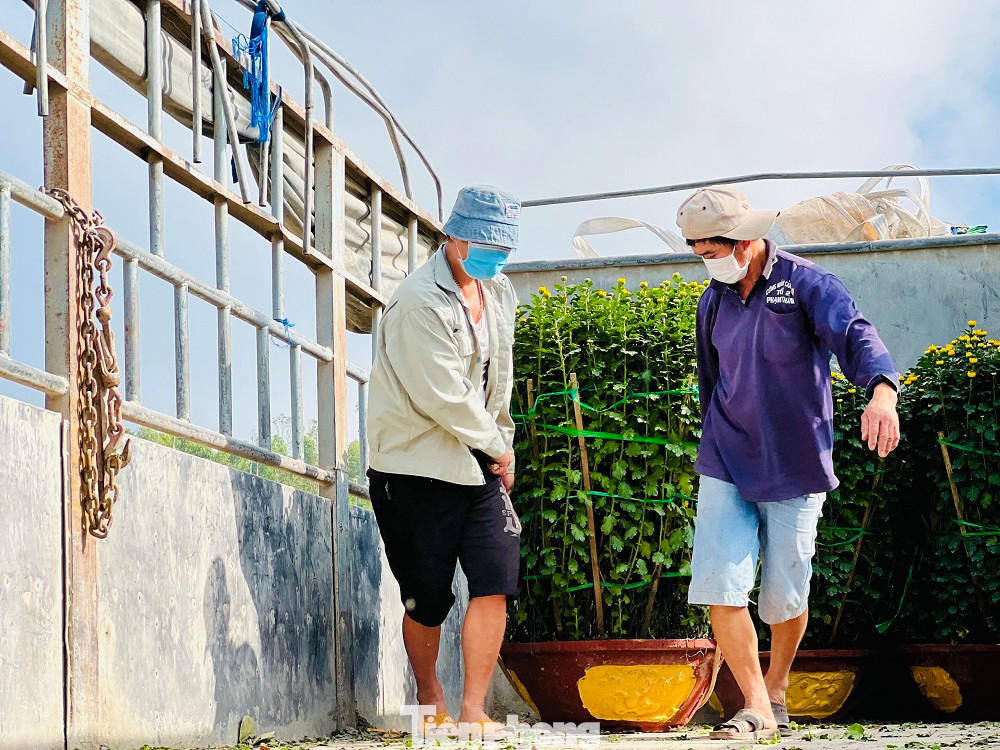 Trong những ngày qua, do ảnh hưởng của không khí lạnh, biển động kéo dài, khiến các tàu vận tải hàng hoá trên tuyến Sa Kỳ - Lý Sơn liên tục bị trì hoãn, không thể hoạt động được.