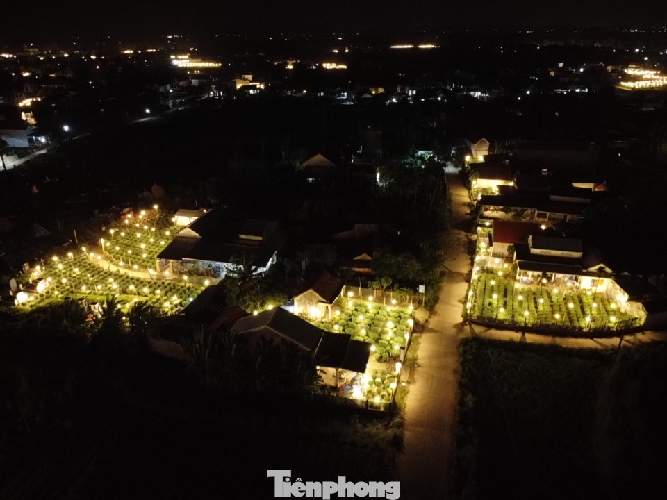 Đến với thủ phủ trồng hoa cúc thời điểm này vào ban đêm, nhiều người không khỏi thích thú trước khung cảnh lung linh, rực sáng với hàng nghìn ngọn đèn điện cùng lúc được thắp sáng trên những ruộng hoa…