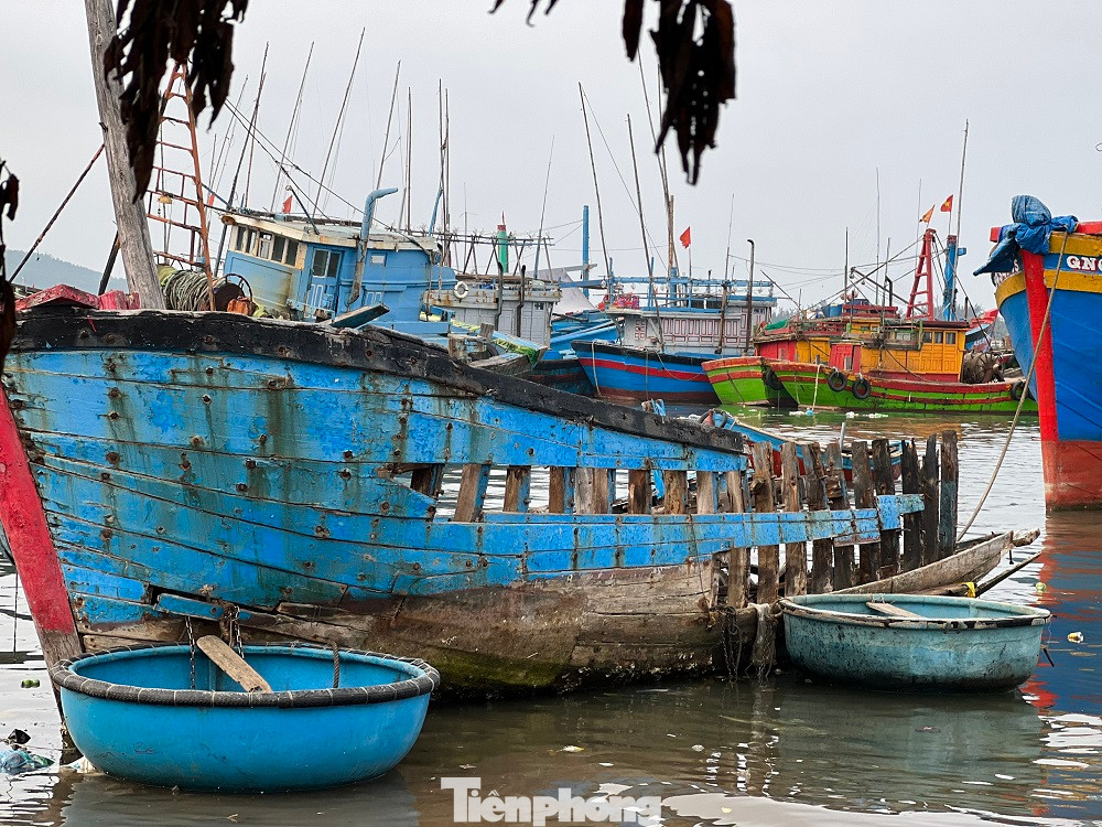 "Nghĩa địa tàu đắm" ở cảng Sa Huỳnh khi chưa được trục vớt. "Nghĩa địa tàu đắm" ở cảng Sa Huỳnh khi chưa được trục vớt.