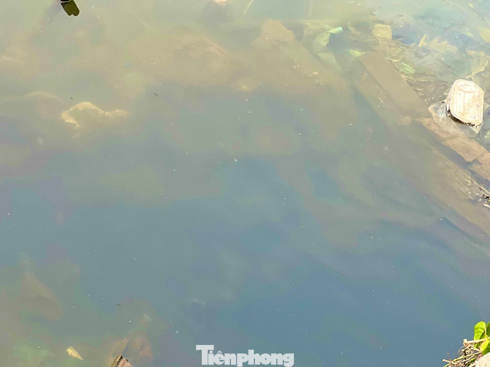 Còn ông Võ Minh Vương - Phó Chủ tịch UBND thị xã Đức Phổ cho hay, UBND thị xã đã chỉ đạo thu gom rác thải, nước thải. Riêng về xử lý nước thải nằm trong khu vực cảng thuộc quản lý của BQL các cảng cá tỉnh Quảng Ngãi. Bên cạnh đó, chính quyền địa phương cũng thường xuyên tuyên truyền, vận động người dân dọn dẹp và thu gom xử lý rác thải. (Ảnh: Nguyễn Ngọc)