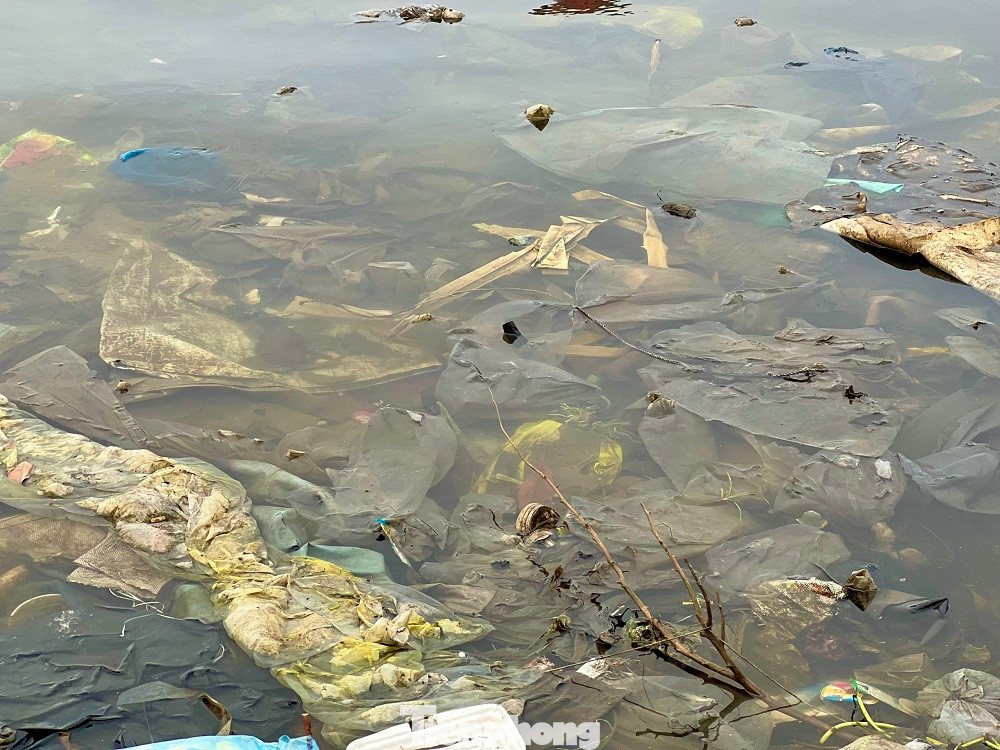 Còn ông Võ Minh Vương - Phó Chủ tịch UBND thị xã Đức Phổ cho hay, UBND thị xã đã chỉ đạo thu gom rác thải, nước thải. Riêng về xử lý nước thải nằm trong khu vực cảng thuộc quản lý của BQL các cảng cá tỉnh Quảng Ngãi. Bên cạnh đó, chính quyền địa phương cũng thường xuyên tuyên truyền, vận động người dân dọn dẹp và thu gom xử lý rác thải. (Ảnh: Nguyễn Ngọc)