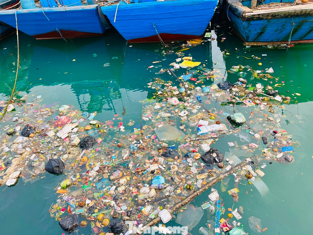 “Đặc biệt, mỗi khi trời có gió mạnh, mùi hôi thối bay vào nhà khiến nhiều người dân rất bức xúc. Người dân mong muốn các ngành chức năng sớm ra quân thu dọn rác thải và trục vớt các xác tàu cá bỏ lại trên mặt nước cảng Sa Huỳnh, để tạo cảnh quan, môi trường trong sạch ở khu vực này”, chị Chung nói thêm. (Ảnh: Nguyễn Ngọc)