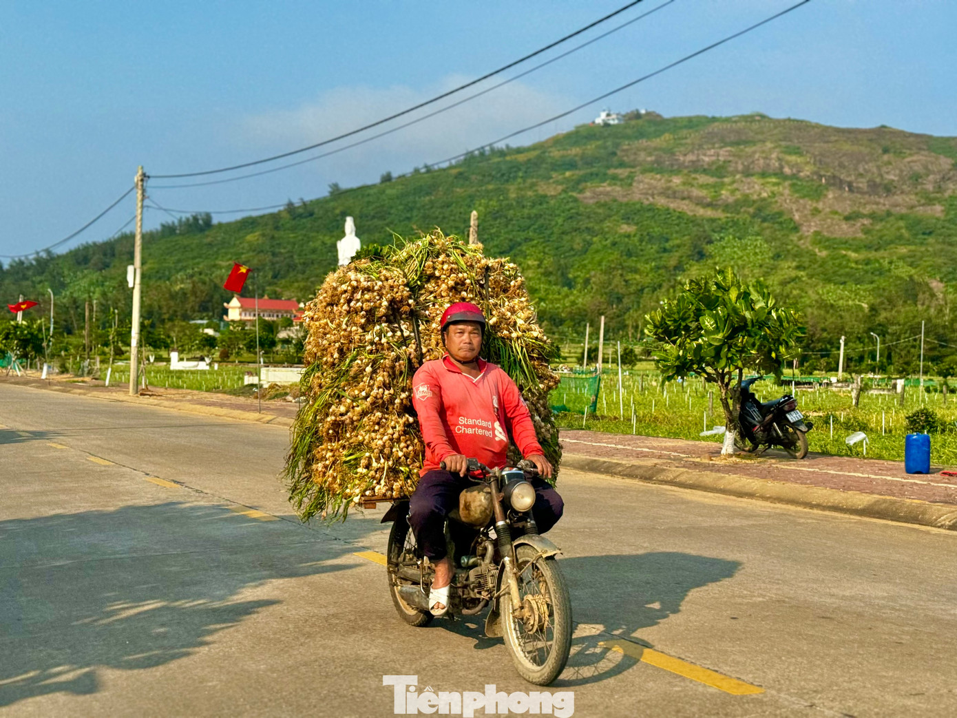 Bà Phạm Thị Hương - Chủ tịch UBND huyện Lý Sơn (tỉnh Quảng Ngãi) - cho biết, vụ tỏi năm nay nông dân huyện Lý Sơn trồng khoảng 320ha, với tổng sản lượng tỏi toàn huyện ước tính khoảng 3.000 tấn. Năm nay thời tiết thuận lợi nên tỏi rất được mùa. Ảnh: Nguyễn Ngọc.
