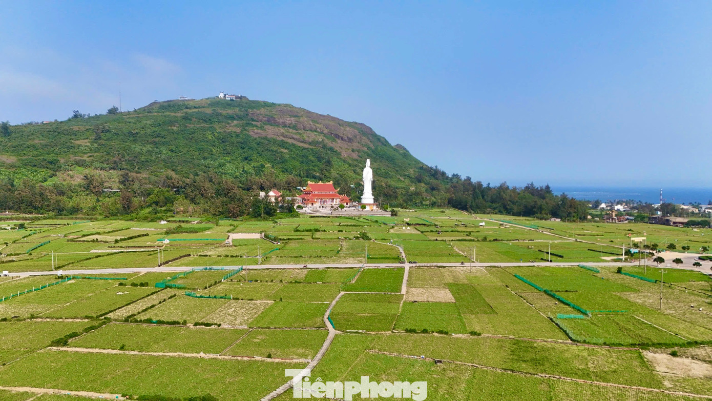 “Về đầu ra, ngay từ đầu vụ các cơ sở kinh doanh tỏi trên đảo đã có thỏa thuận với nông dân, còn giá cả thì phải phụ thuộc vào thị trường không thể đẩy cao đột ngột được”, bà Hương nói. Ảnh: Nguyễn Ngọc.