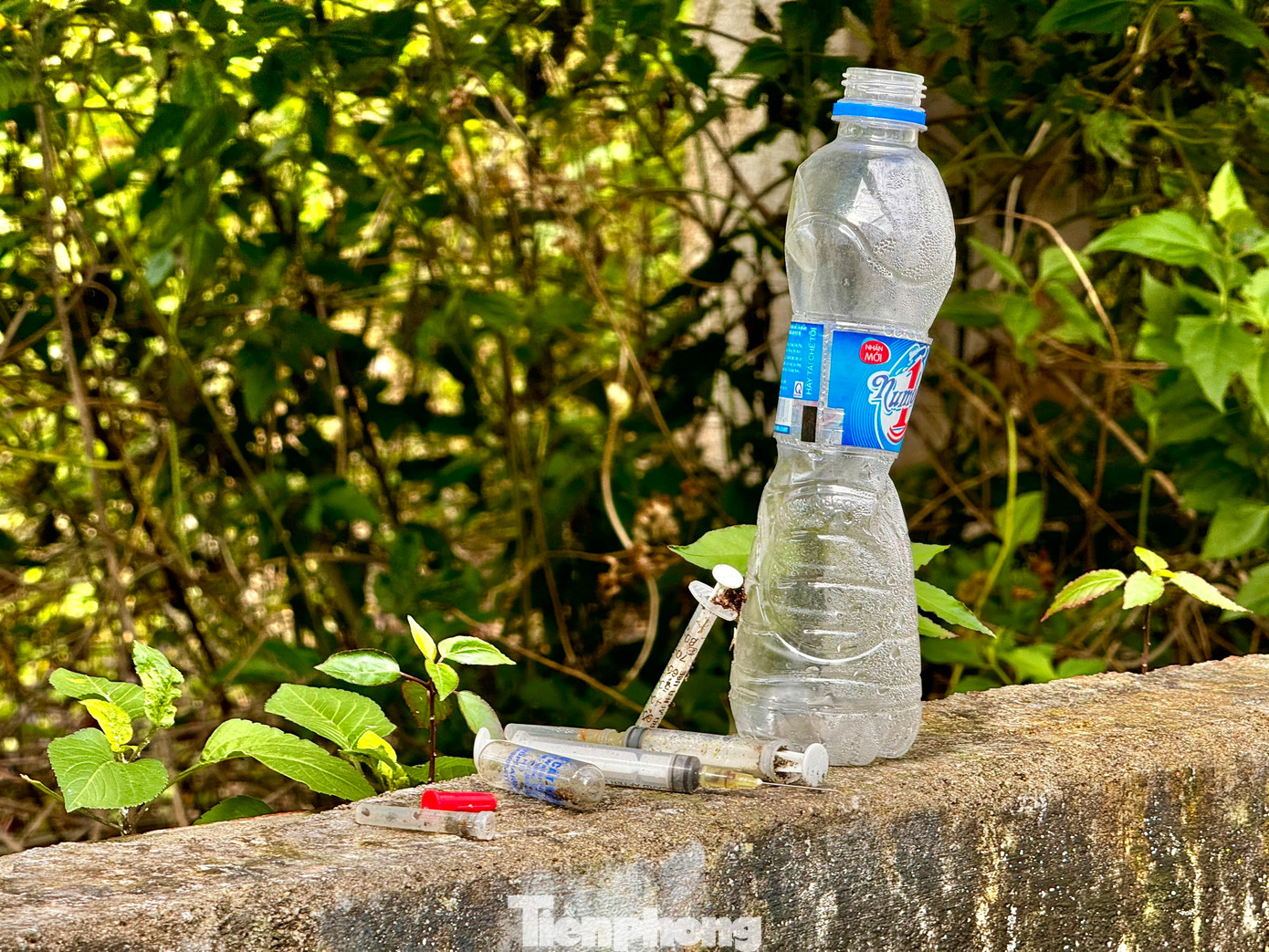 Kim tiêm vương vãi khắp nơi trong các căn nhà hoang. Kim tiêm vương vãi khắp nơi trong các căn nhà hoang.