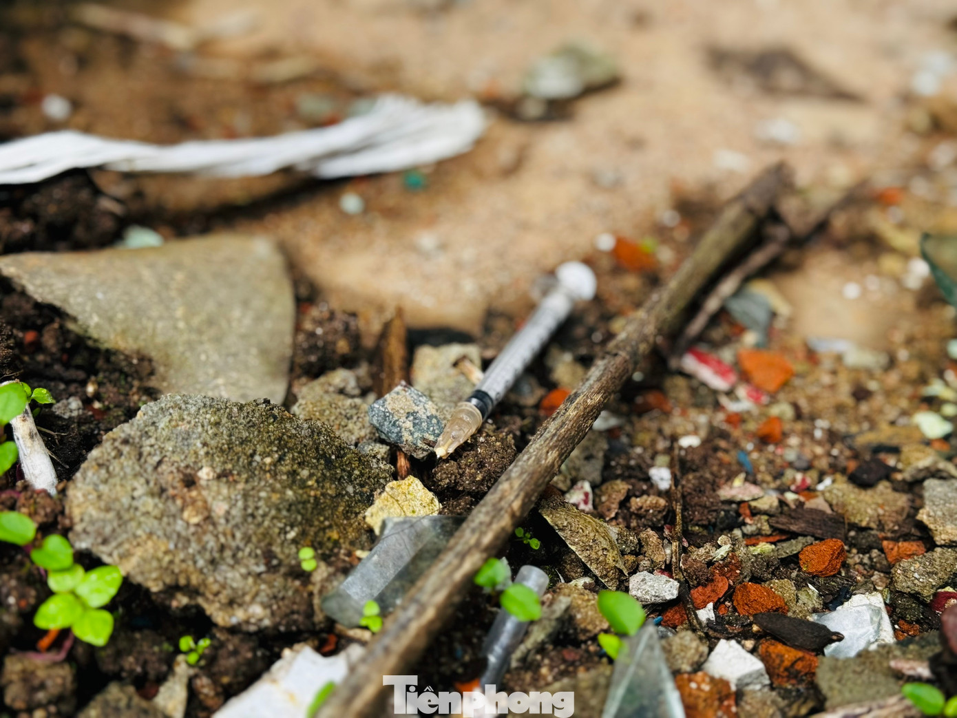 Có thể bắt gặp kim tiêm ở bất cứ đâu. Có thể bắt gặp kim tiêm ở bất cứ đâu.