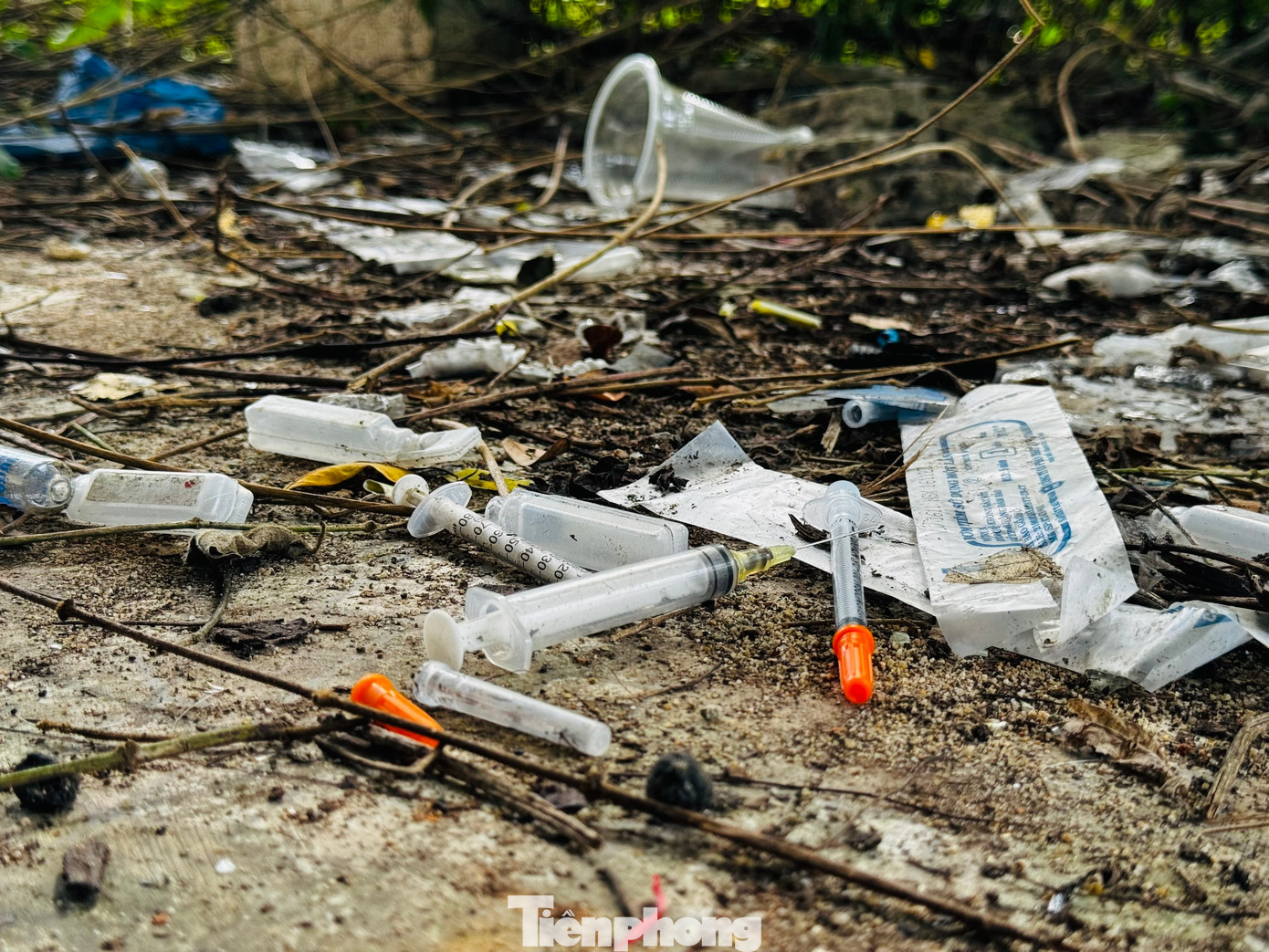 Kim tiêm vương vãi khắp nơi trong các căn nhà hoang. Kim tiêm vương vãi khắp nơi trong các căn nhà hoang.