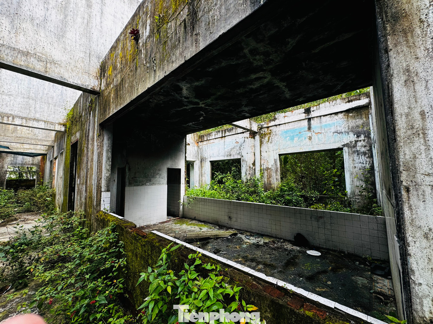 Những căn nhà hoang ở núi Thiên Bút trở thành nơi tụ tập, tiêm chích ma túy của các con nghiện. Những căn nhà hoang ở núi Thiên Bút trở thành nơi tụ tập, tiêm chích ma túy của các con nghiện.