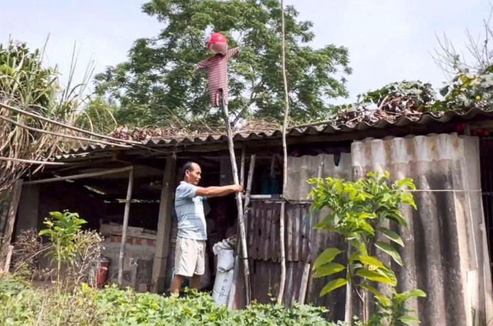 Người dân đã sử dụng nhiều biện pháp nhưng cũng chỉ dọa được khỉ trong thời gian ngắn.