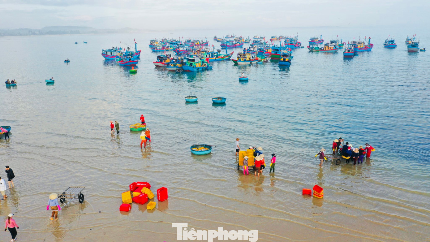 Sau chuyến đánh bắt xuyên đêm tàu thuyền lại tấp nập vào bờ bán hải sản, hình thành nên chợ độc nhất vô nhị ở Quảng Ngãi, với vẻ đẹp bình dị, nguyên sơ của vùng quê ven biển. (Ảnh: Nguyễn Ngọc)