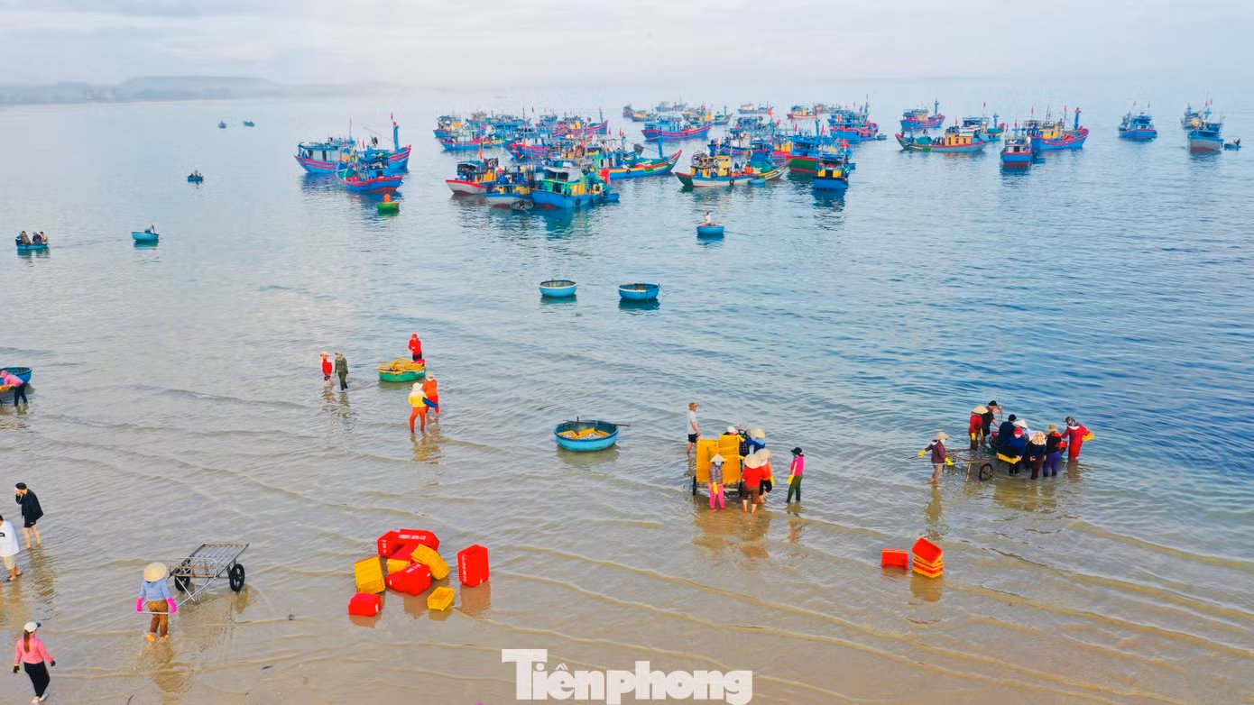Sau chuyến đánh bắt xuyên đêm tàu thuyền lại tấp nập vào bờ bán hải sản, hình thành nên chợ độc nhất vô nhị ở Quảng Ngãi, với vẻ đẹp bình dị, nguyên sơ của vùng quê ven biển. (Ảnh: Nguyễn Ngọc)