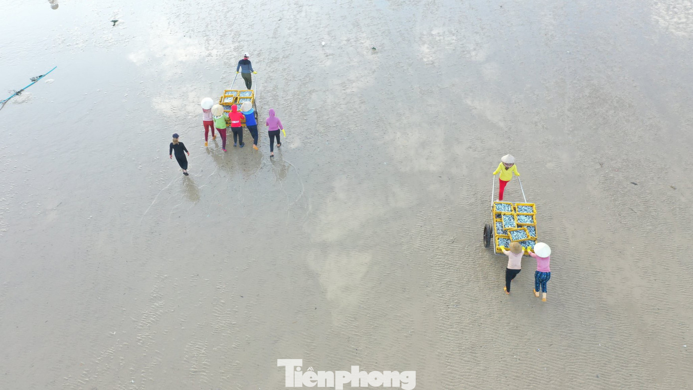 Chợ cá nơi đây còn tạo việc làm cho nhiều lao động nữ. Công việc gánh cá, phân loại giúp mỗi người kiếm được 150.000-200.000 đồng trong một buổi sáng. (Ảnh: Nguyễn Ngọc)