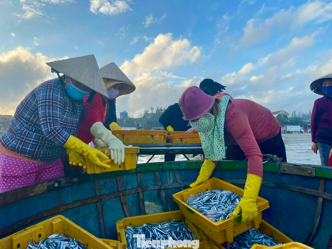 Ông Nguyễn Thanh Hùng - Chủ tịch Nghiệp đoàn nghề cá xã Bình Châu cho biết, đội tàu đánh bắt gần bờ của xã hoạt động rất hiệu quả. Đội tàu này đánh bắt trong ngày nên chi phí thấp, ít nguy cơ rủi ro. Số hải sản đánh bắt được tiêu thụ ngay khi tàu vừa cập bến. (Ảnh: Nguyễn Ngọc)