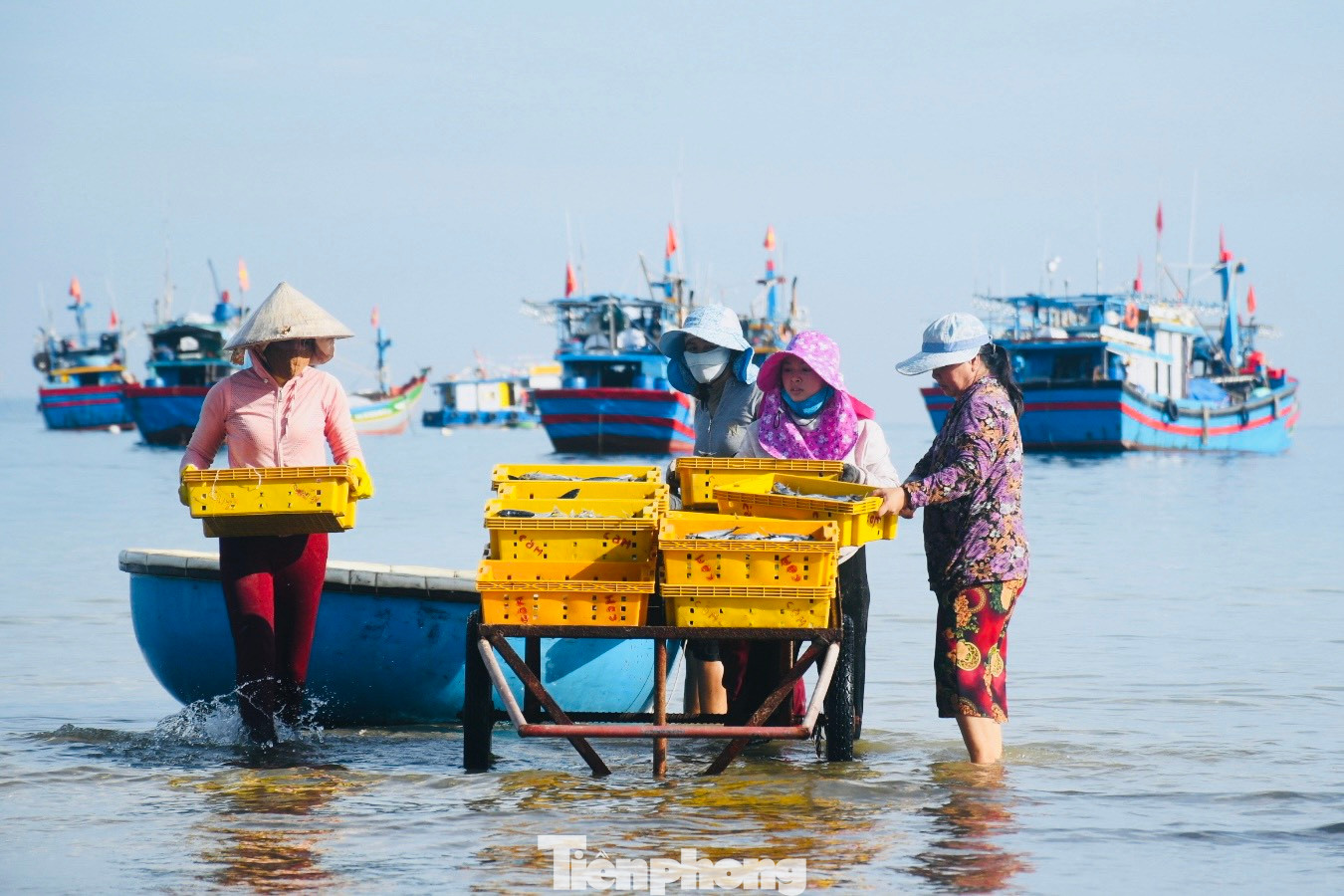 Chợ cá nơi đây còn tạo việc làm cho nhiều lao động nữ. Công việc gánh cá, phân loại giúp mỗi người kiếm được 150.000-200.000 đồng trong một buổi sáng. (Ảnh: Nguyễn Ngọc)