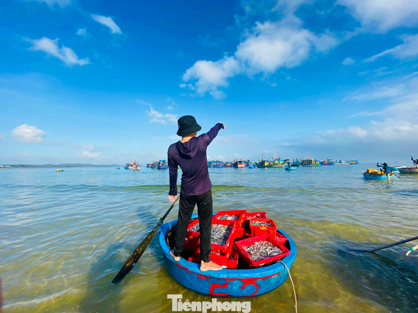 Để đưa hải sản vào bờ, ngư dân sẽ chuyển hải sản từ tàu lớn sang thuyền thúng nhỏ, còn tiểu thương chờ đợi sẵn trên bờ biển để thu mua. Việc thu mua cá diễn ra ngay bên mép sóng. (Ảnh: Nguyễn Ngọc)
