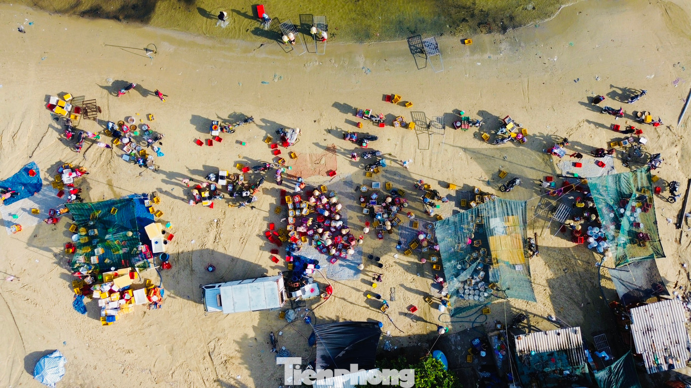 Cá đánh bắt gần bờ nên rất tươi ngon. Mỗi ngày có 40 - 60 tiểu thương các huyện, thành phố trong tỉnh đến đây mua cá đưa đi bán lẻ. Một phần cá được mua đưa lên các tỉnh miền Trung - Tây Nguyên tiêu thụ. (Ảnh: Nguyễn Ngọc)