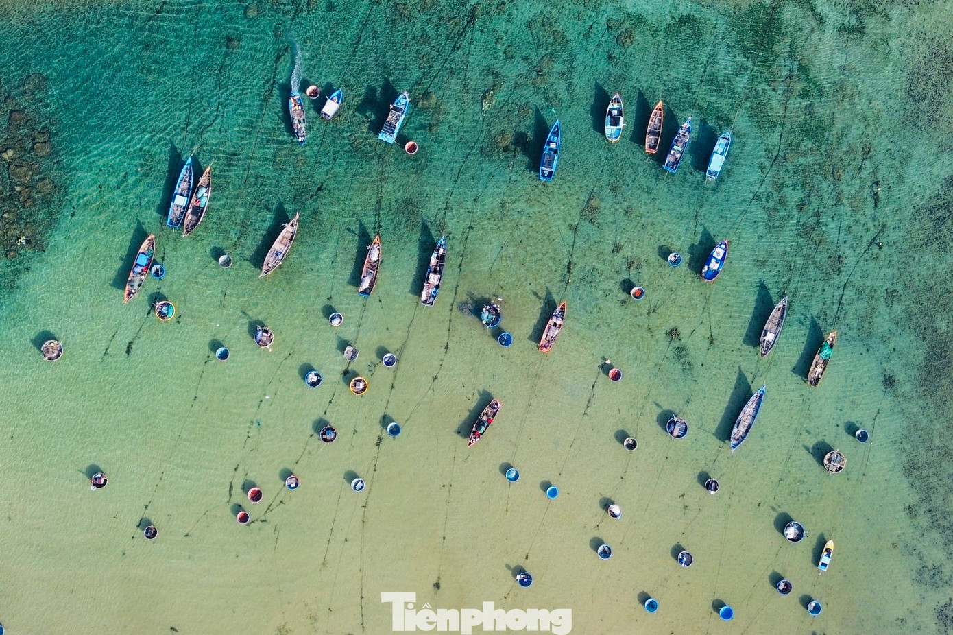 Ngoài chợ cá ở thôn Châu Thuận Biển. Xã Bình Châu được xem là vùng đất nổi tiếng với “nghĩa địa tàu cổ”. Vùng biển nơi đây có hàng chục xác tàu cổ đắm, nhiều tàu đã được trục vớt, lộ ra hàng nghìn cổ vật quý giá. (Ảnh: Nguyễn Ngọc)