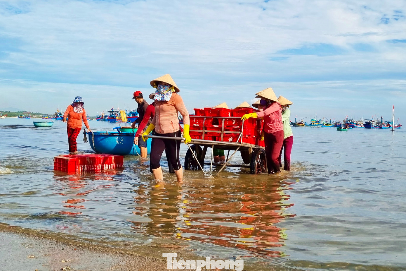 Chợ cá nơi đây còn tạo việc làm cho nhiều lao động nữ. Công việc gánh cá, phân loại giúp mỗi người kiếm được 150.000-200.000 đồng trong một buổi sáng. (Ảnh: Nguyễn Ngọc)