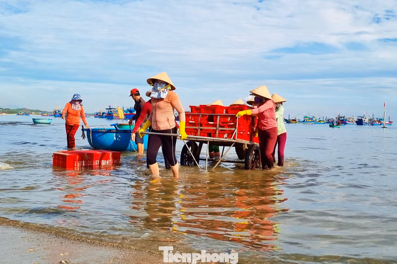 Chợ cá nơi đây còn tạo việc làm cho nhiều lao động nữ. Công việc gánh cá, phân loại giúp mỗi người kiếm được 150.000-200.000 đồng trong một buổi sáng. (Ảnh: Nguyễn Ngọc)