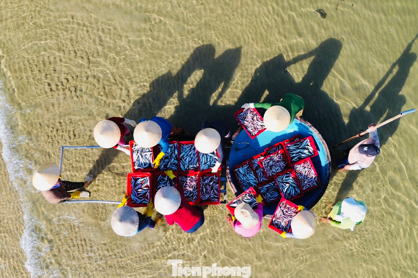 Toàn xã Bình Châu có khoảng 480 tàu cá với khoảng 9.000 người sinh sống bằng nghề biển. Trong số đó có khoảng 200 tàu hành nghề đánh bắt gần bờ. (Ảnh: Nguyễn Ngọc)