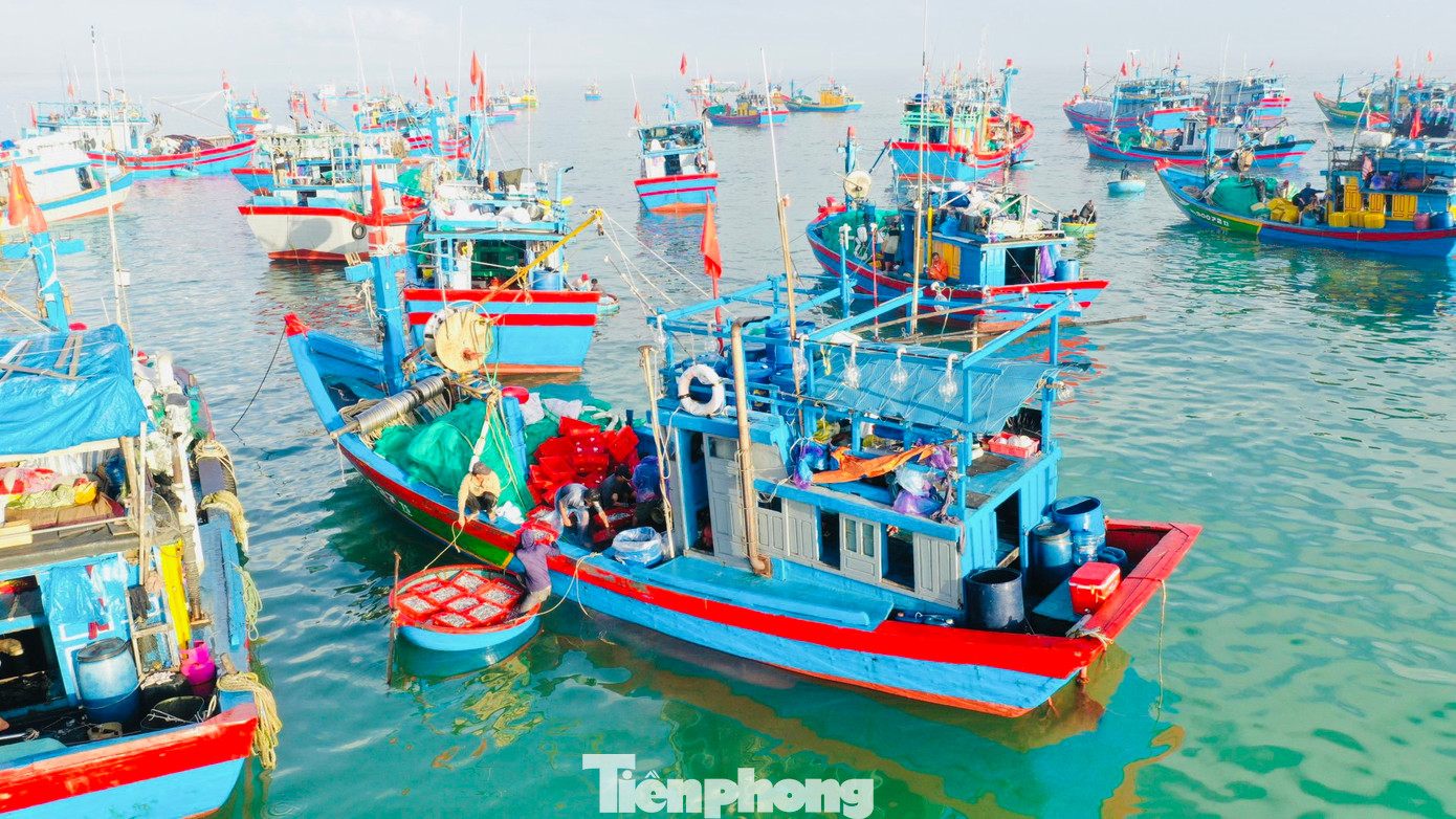 Khoảng 5h, đội tàu đánh bắt gần bờ cập bến bán cá. Những tàu này chủ yếu đánh bắt quanh khu vực đảo Lý Sơn. Tàu xuất bến từ hôm trước, đánh bắt xuyên đêm đến hôm sau quay về bờ bán hải sản. (Ảnh: Nguyễn Ngọc)