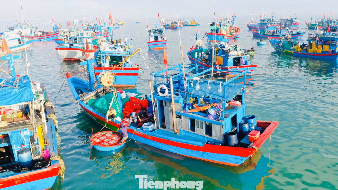 Khoảng 5h, đội tàu đánh bắt gần bờ cập bến bán cá. Những tàu này chủ yếu đánh bắt quanh khu vực đảo Lý Sơn. Tàu xuất bến từ hôm trước, đánh bắt xuyên đêm đến hôm sau quay về bờ bán hải sản. (Ảnh: Nguyễn Ngọc)