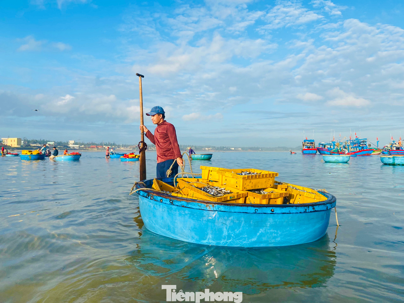 Để đưa hải sản vào bờ, ngư dân sẽ chuyển hải sản từ tàu lớn sang thuyền thúng nhỏ, còn tiểu thương chờ đợi sẵn trên bờ biển để thu mua. Việc thu mua cá diễn ra ngay bên mép sóng. (Ảnh: Nguyễn Ngọc)