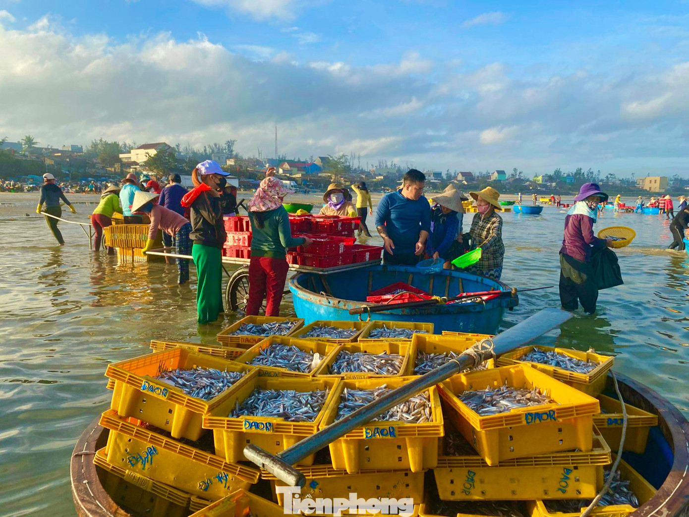 Ông Nguyễn Thanh Hùng - Chủ tịch Nghiệp đoàn nghề cá xã Bình Châu cho biết, đội tàu đánh bắt gần bờ của xã hoạt động rất hiệu quả. Đội tàu này đánh bắt trong ngày nên chi phí thấp, ít nguy cơ rủi ro. Số hải sản đánh bắt được tiêu thụ ngay khi tàu vừa cập bến. (Ảnh: Nguyễn Ngọc)