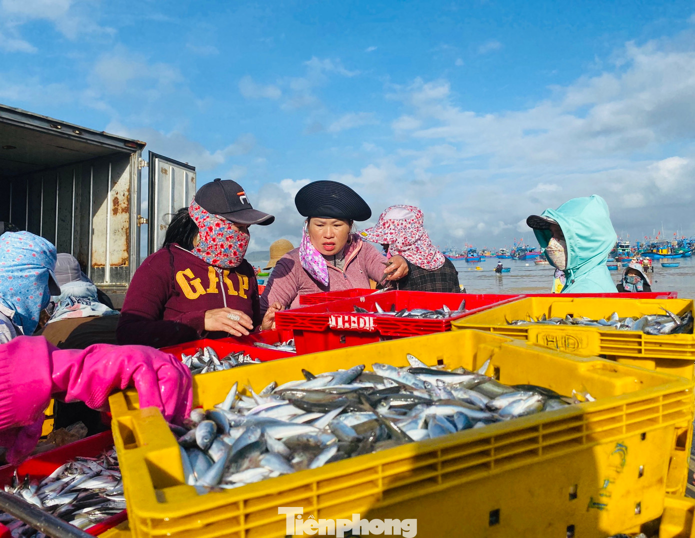 Toàn xã Bình Châu có khoảng 480 tàu cá với khoảng 9.000 người sinh sống bằng nghề biển. Trong số đó có khoảng 200 tàu hành nghề đánh bắt gần bờ. (Ảnh: Nguyễn Ngọc)
