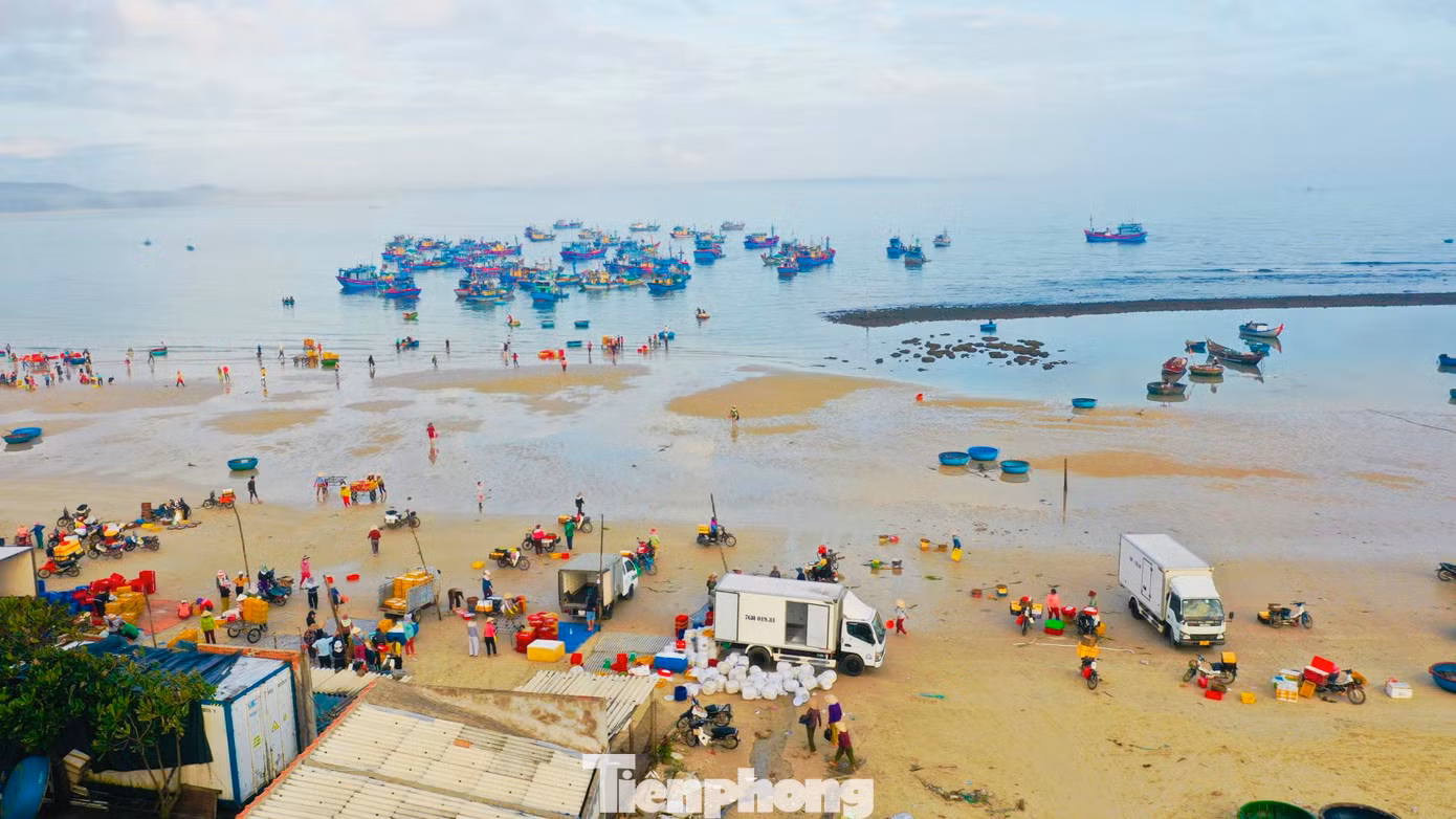 “Ngư dân đánh bắt gần bờ có thể kiếm được 400-500 ngàn đồng mỗi ngày. Ngoài ra, còn tạo được nhiều việc làm cho người dân địa phương kiếm thêm thu nhập”, ông Hùng nói. (Ảnh: Nguyễn Ngọc)