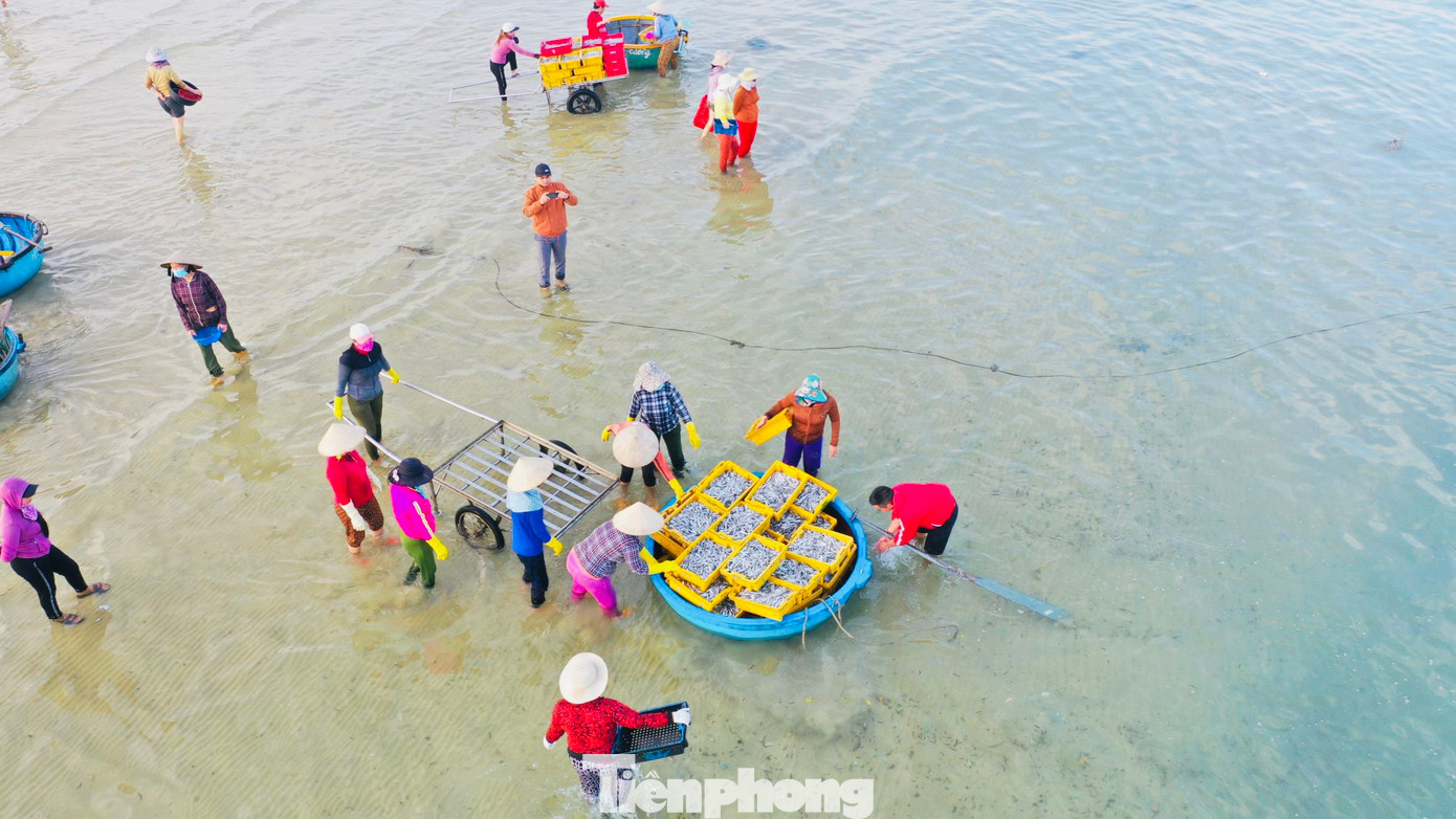 “Ngư dân đánh bắt gần bờ có thể kiếm được 400-500 ngàn đồng mỗi ngày. Ngoài ra, còn tạo được nhiều việc làm cho người dân địa phương kiếm thêm thu nhập”, ông Hùng nói. (Ảnh: Nguyễn Ngọc)