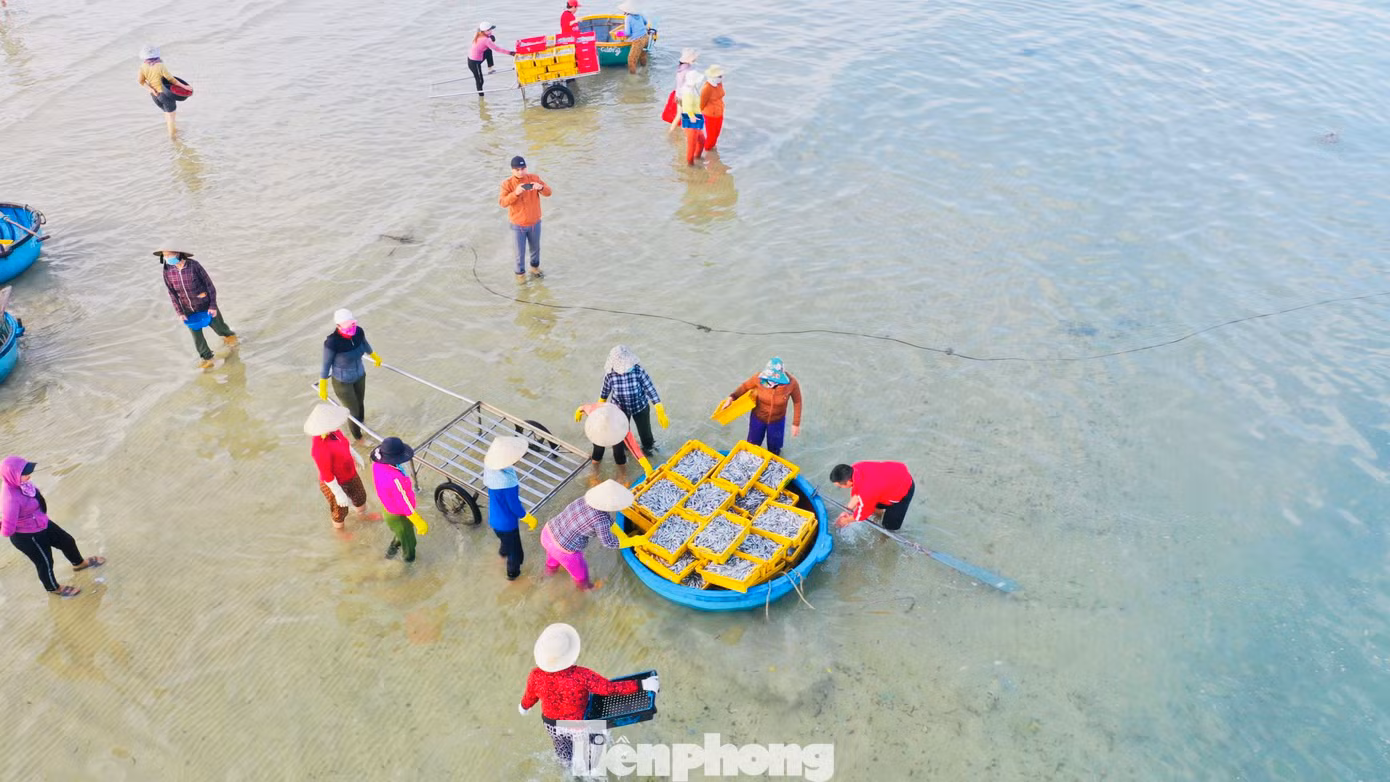 “Ngư dân đánh bắt gần bờ có thể kiếm được 400-500 ngàn đồng mỗi ngày. Ngoài ra, còn tạo được nhiều việc làm cho người dân địa phương kiếm thêm thu nhập”, ông Hùng nói. (Ảnh: Nguyễn Ngọc)