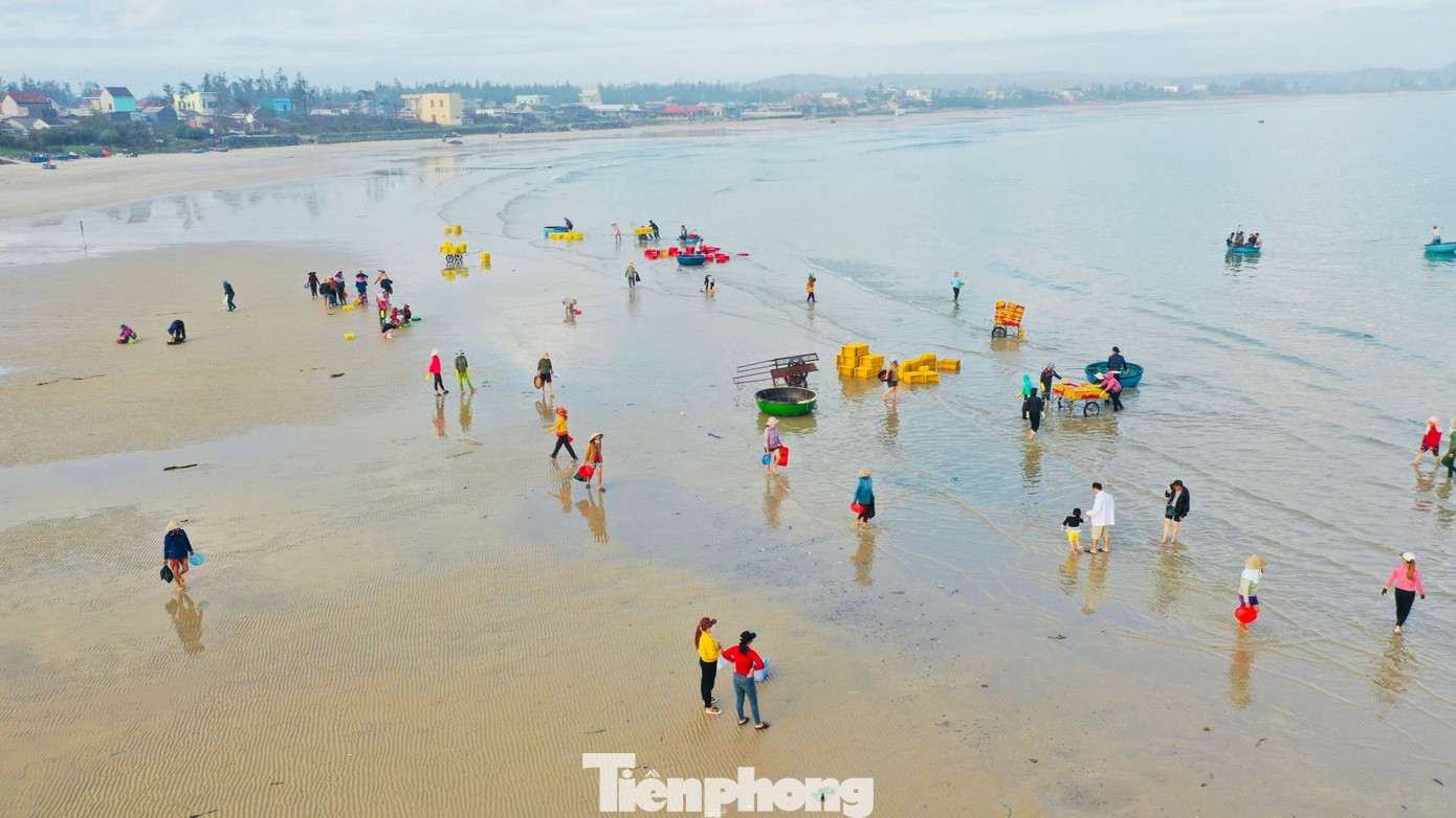 Sau chuyến đánh bắt xuyên đêm tàu thuyền lại tấp nập vào bờ bán hải sản, hình thành nên chợ độc nhất vô nhị ở Quảng Ngãi, với vẻ đẹp bình dị, nguyên sơ của vùng quê ven biển. (Ảnh: Nguyễn Ngọc)