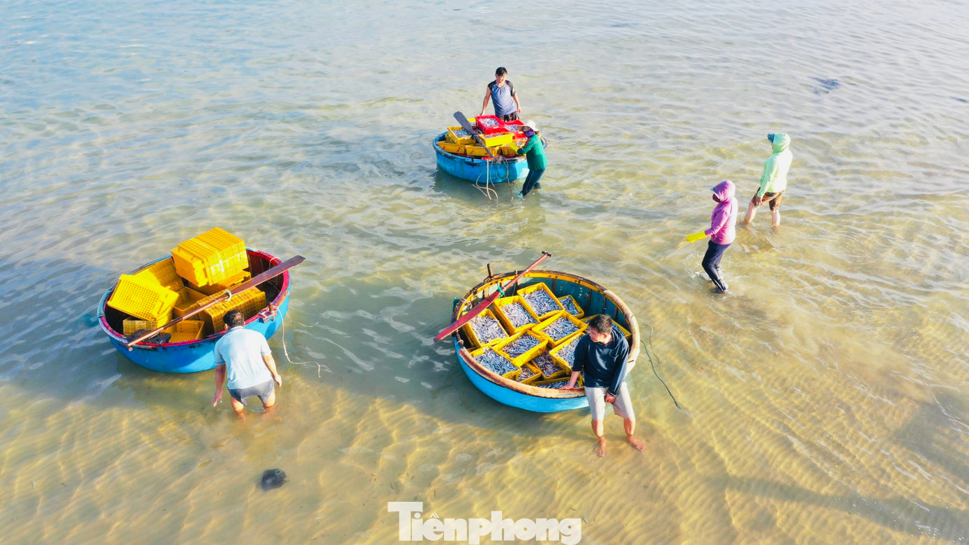 Chợ cá nơi đây còn tạo việc làm cho nhiều lao động nữ. Công việc gánh cá, phân loại giúp mỗi người kiếm được 150.000-200.000 đồng trong một buổi sáng. (Ảnh: Nguyễn Ngọc)