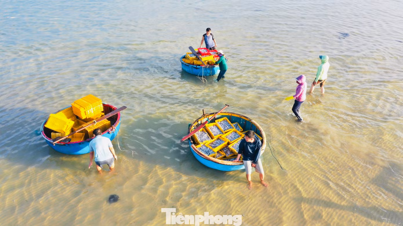 Chợ cá nơi đây còn tạo việc làm cho nhiều lao động nữ. Công việc gánh cá, phân loại giúp mỗi người kiếm được 150.000-200.000 đồng trong một buổi sáng. (Ảnh: Nguyễn Ngọc)