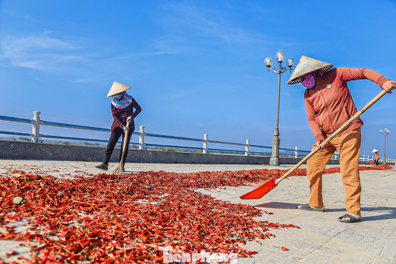 Giá chạm đáy, nhiều hộ trồng ớt sau khi thu hoạch xong lựa chọn phương án đem phơi. Biết là tiểu thương rất hiếm khi thu mua loại ớt này nhưng vẫn hy vọng bán được một ít để làm sa tế, tương ớt, ớt bột khô.