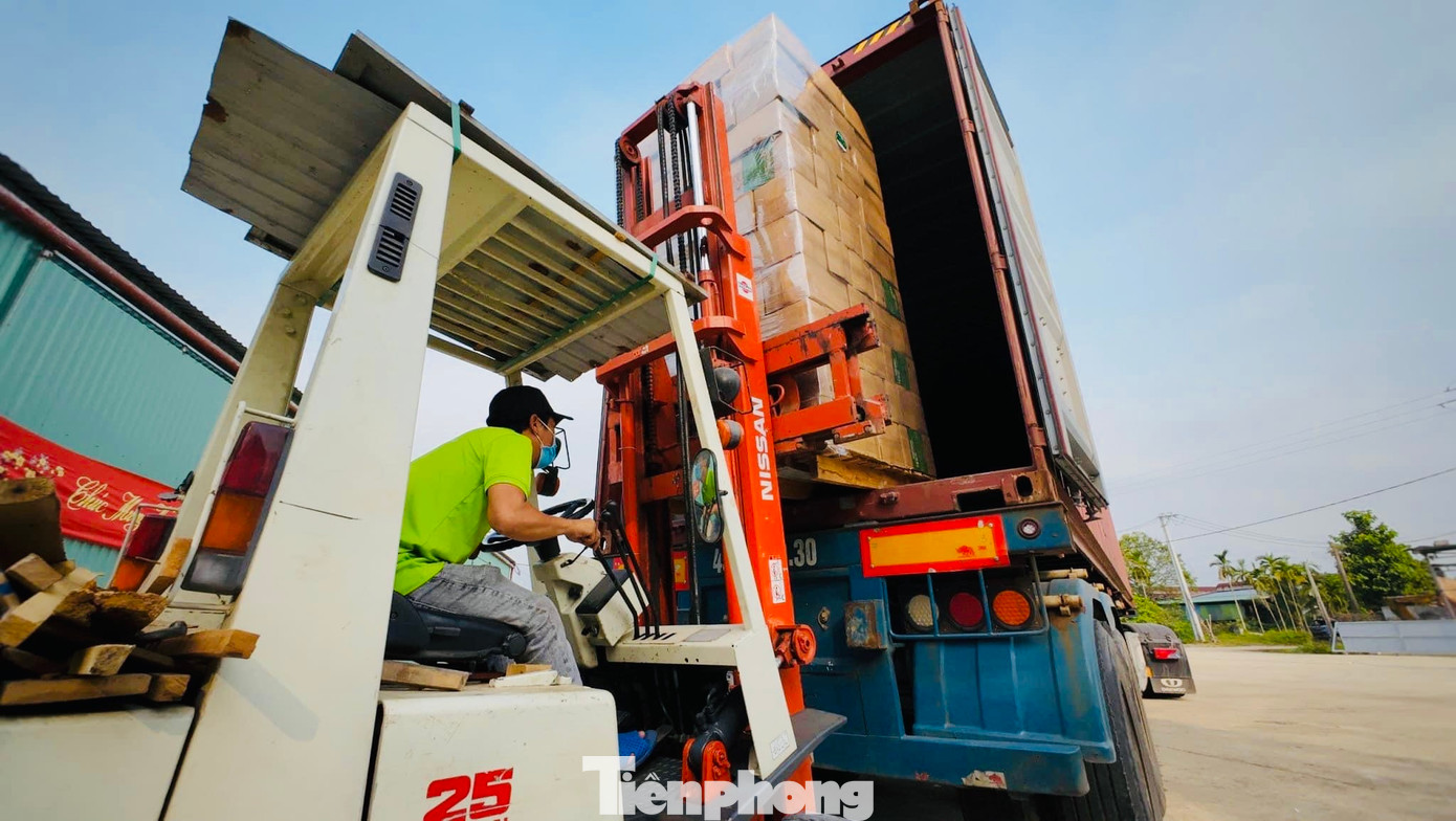 Theo lãnh đạo UBND huyện Nghĩa Hành (Quảng Ngãi), lâu nay, mo cau hầu như không có giá trị sử dụng. Nay nhờ cơ sở sản xuất của anh Nguyễn Văn Tuyến thu mua mo cau mà người nông dân có thêm thu nhập, đây là hướng đi đầy triển vọng. Chén, đĩa từ mo cau là một trong những sản phẩm nổi bật của huyện Nghĩa Hành. Thời gian tới, địa phương sẽ tạo điều kiện để cơ sở này tiếp tục phát triển sản xuất, tạo thêm việc làm cho người lao động.