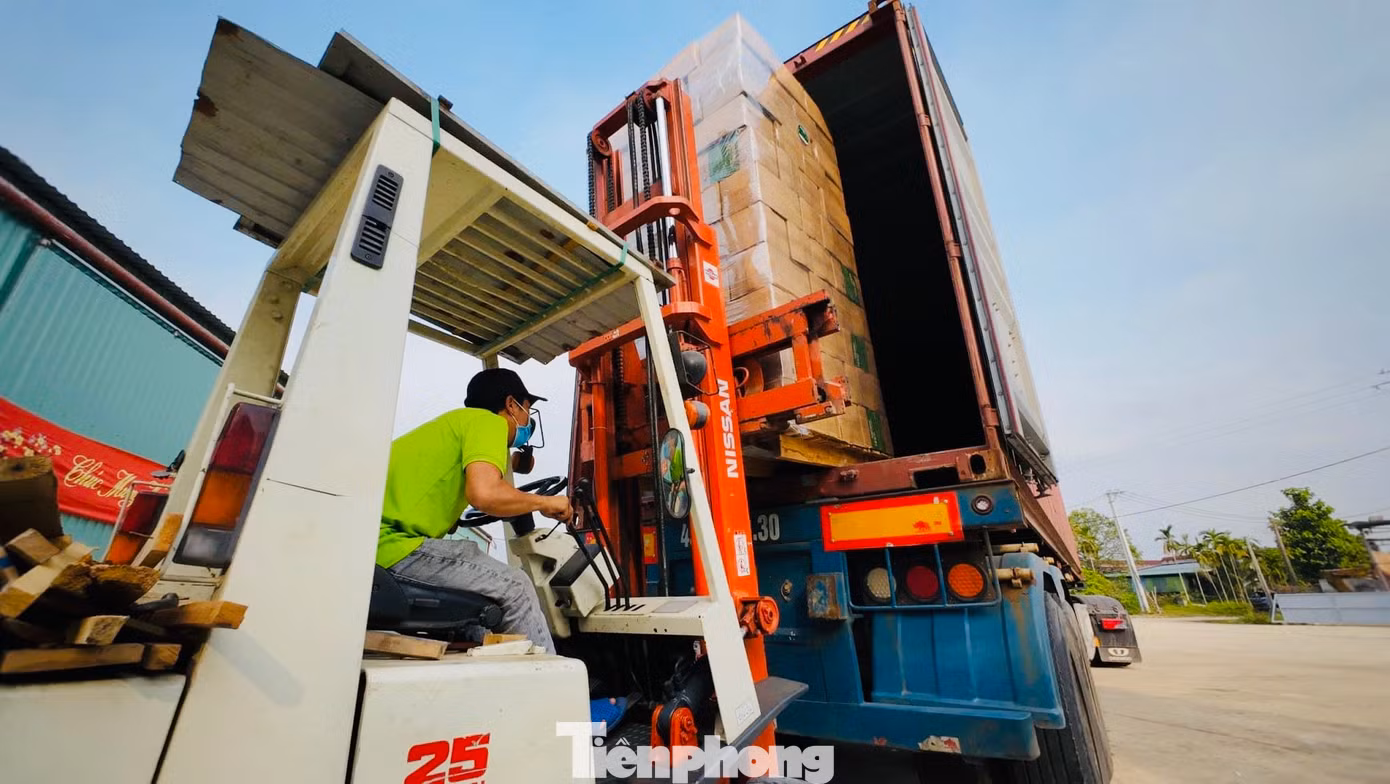 Theo lãnh đạo UBND huyện Nghĩa Hành (Quảng Ngãi), lâu nay, mo cau hầu như không có giá trị sử dụng. Nay nhờ cơ sở sản xuất của anh Nguyễn Văn Tuyến thu mua mo cau mà người nông dân có thêm thu nhập, đây là hướng đi đầy triển vọng. Chén, đĩa từ mo cau là một trong những sản phẩm nổi bật của huyện Nghĩa Hành. Thời gian tới, địa phương sẽ tạo điều kiện để cơ sở này tiếp tục phát triển sản xuất, tạo thêm việc làm cho người lao động.