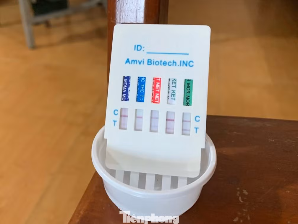 Kết luận giám định chất rắn màu trắng bên trong các vật thể do ông Tèo nhặt được ở bờ biển là chất ma tuý (loại cocaine).